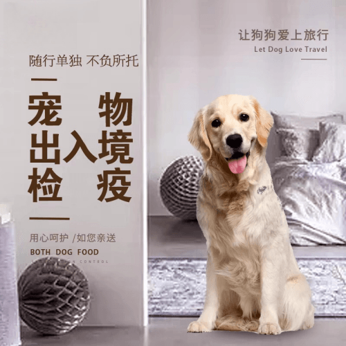 鹤岗市宠物托运到哥伦比亚猫狗宠物入境规定和