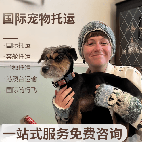 鹤岗市国际宠物托运到阿根廷宠物入境规定和要