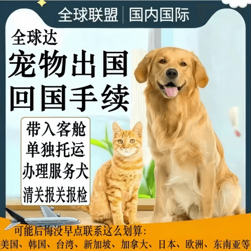 鹤岗市宠物托运到柬埔寨宠物入境规定和要求